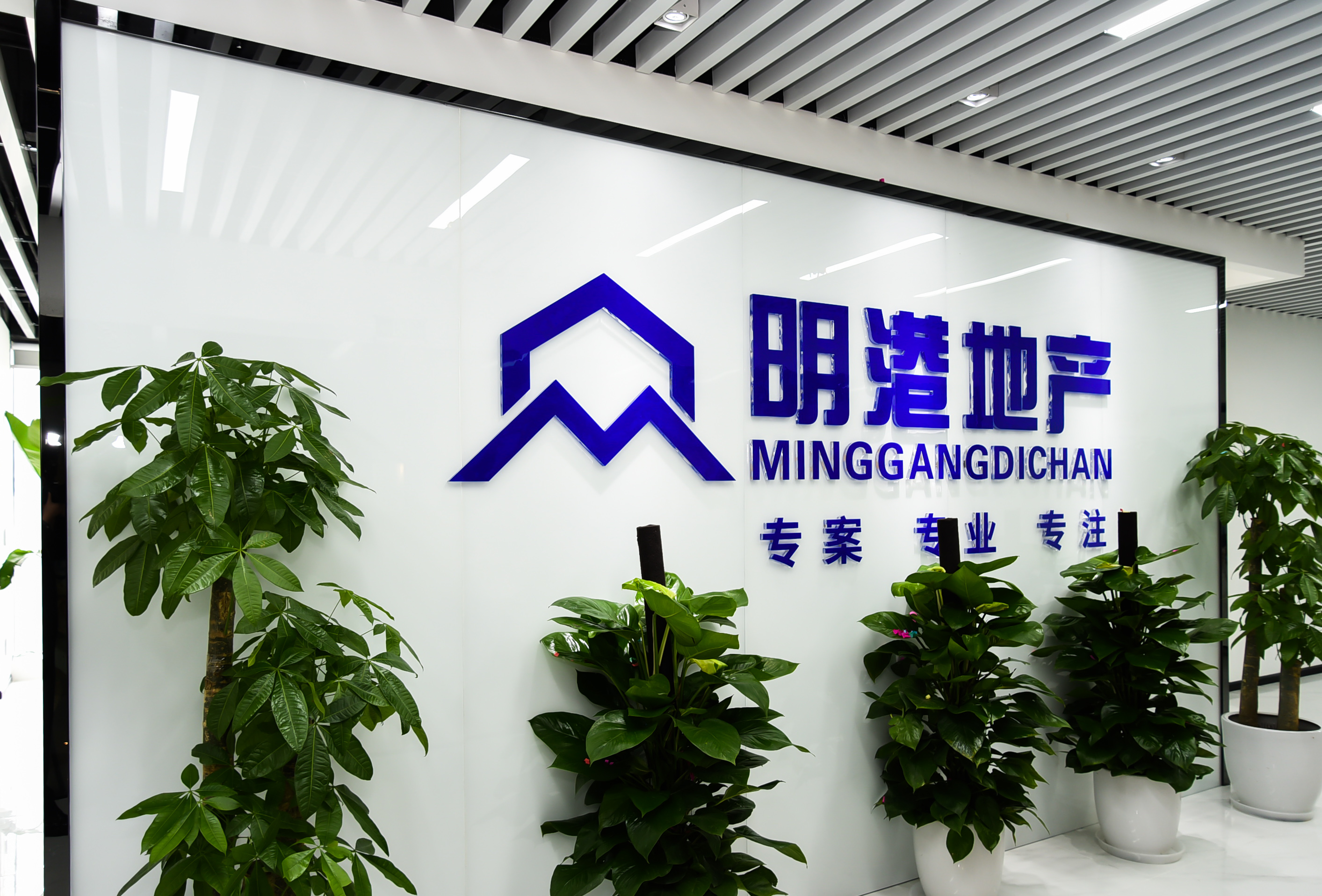 明港地产办公室